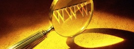 WWW Under Magnifying Glass